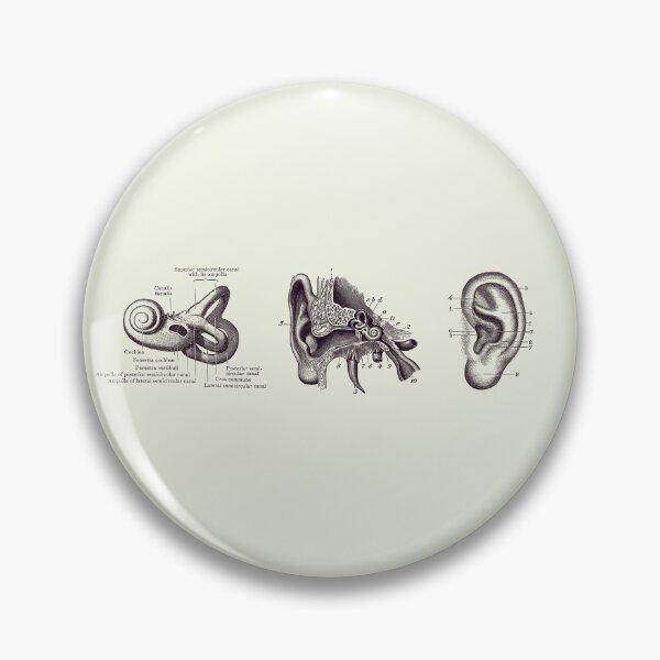 Item preview, Human Ear Anatomy Diagram - Vintage Print 2 designed and sold by VAposters.