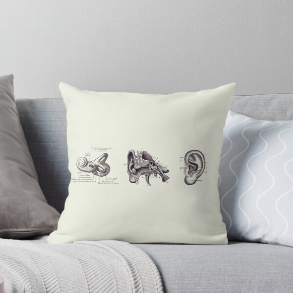 Item preview, Human Ear Anatomy Diagram - Vintage Print 2 designed and sold by VAposters.