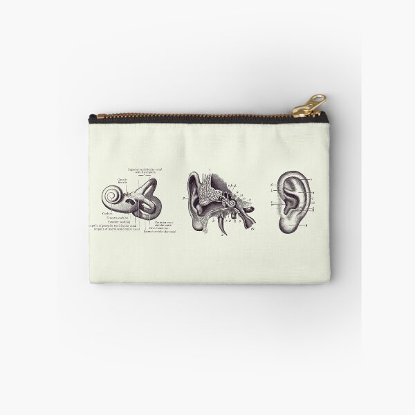 Item preview, Human Ear Anatomy Diagram - Vintage Print 2 designed and sold by VAposters.