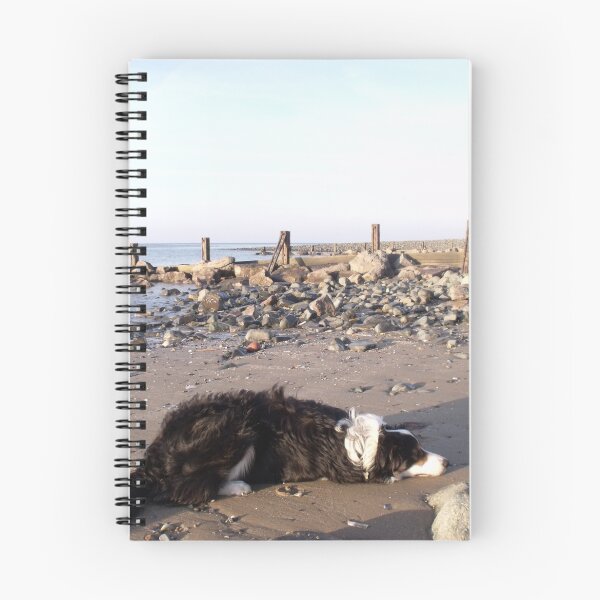 Item preview, Beached. designed and sold by Michael Haslam.