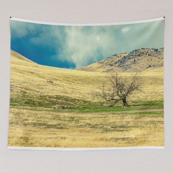 Item preview, Alone Before the Storm designed and sold by Bryan Spellman.