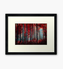 Fire an Flame Framed Print