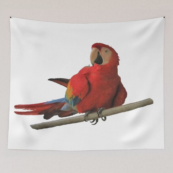 Item preview, Central America, Caribbean, bird, parrot, macaw, red, blue, yellow, orange, green, photography, BebiCervin designed and sold by BebiCervin.