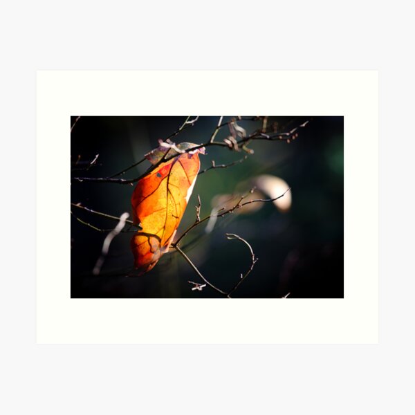 Butterfly Leaf Art Print