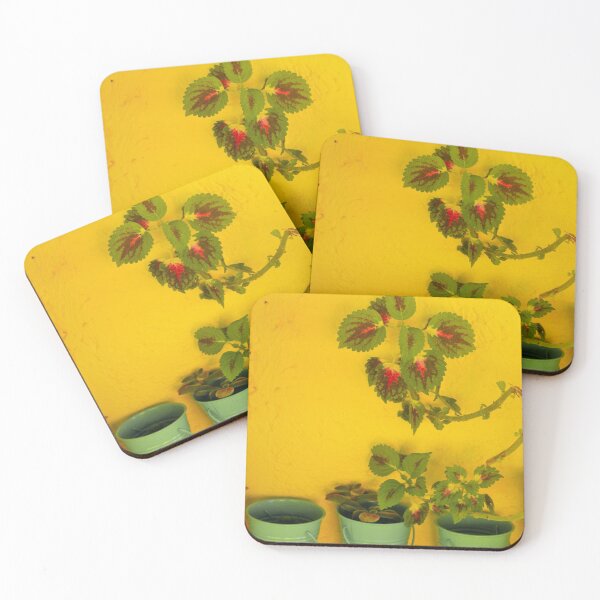 Item preview, A Greek Garden designed and sold by golan22may.