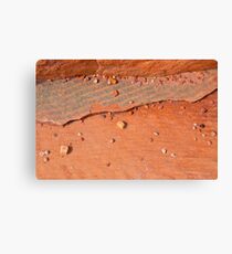 sedimentary Canvas Print