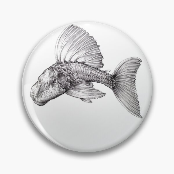 Item preview, Sailfin Plecostomus designed and sold by Hannah  Schmidt.