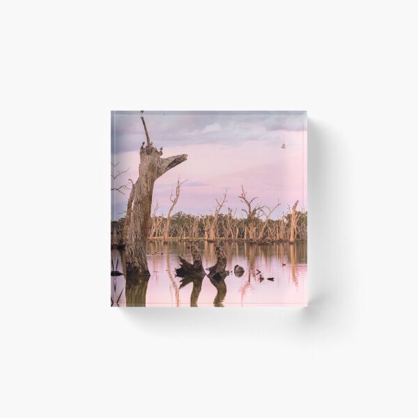 Item preview, Forbes Gum Swamp designed and sold by Downunder Views.
