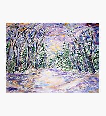 WINTERLAND Photographic Print