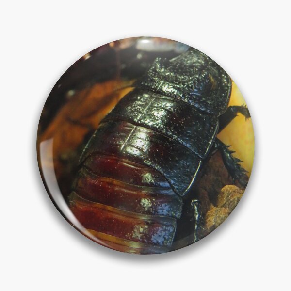 Item preview, Bugs life designed and sold by Sandra Willis.