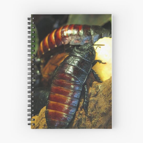 Item preview, Bugs life designed and sold by Sandra Willis.