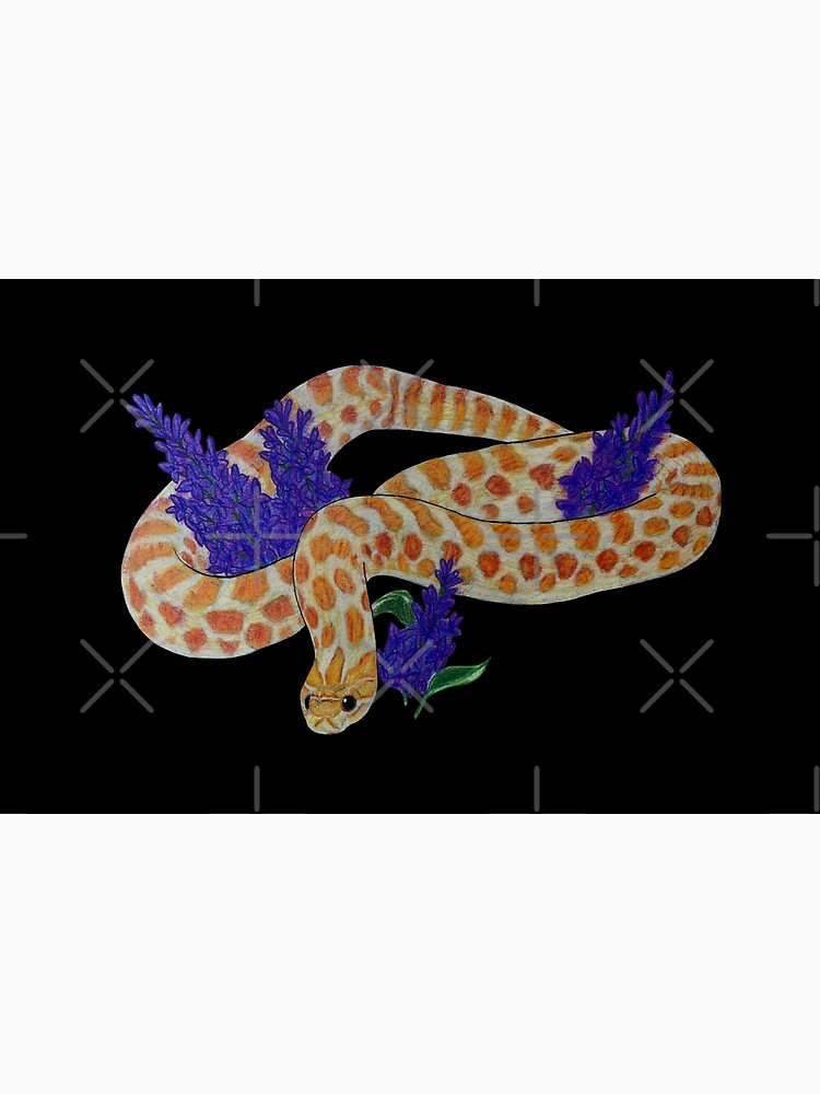 Tricolor Hognose Sticker for Sale by Madison Whitaker