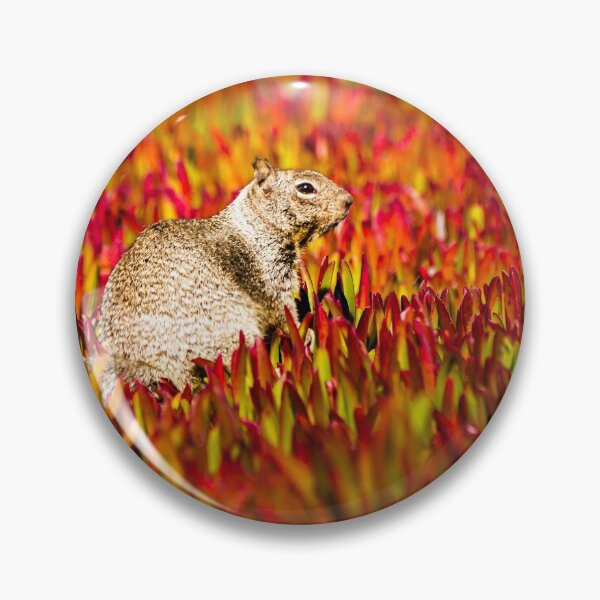 Item preview, California Ground Squirrel designed and sold by Robert Alsop.