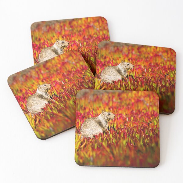 Item preview, California Ground Squirrel designed and sold by Robert Alsop.