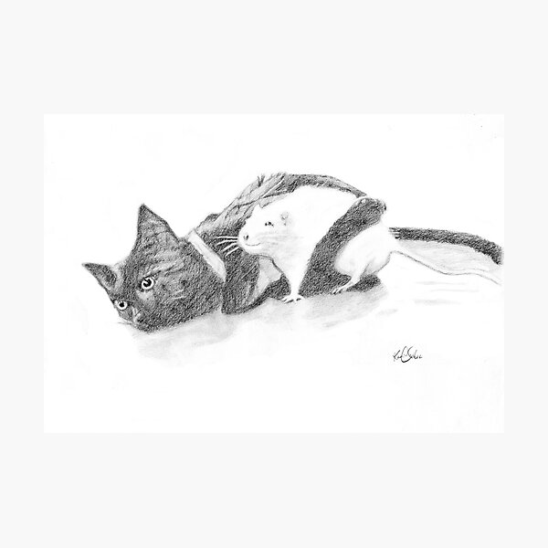 Ebony And Ivory Photographic Print