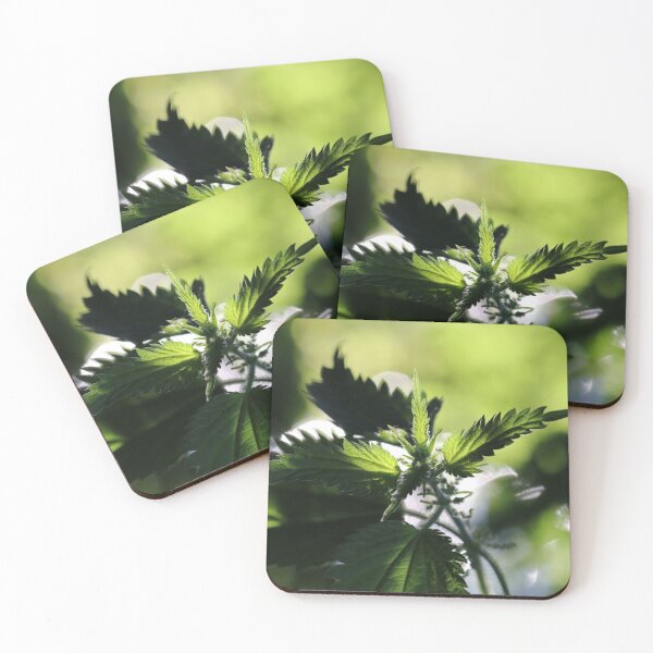 Item preview, Nettle designed and sold by cuprum.