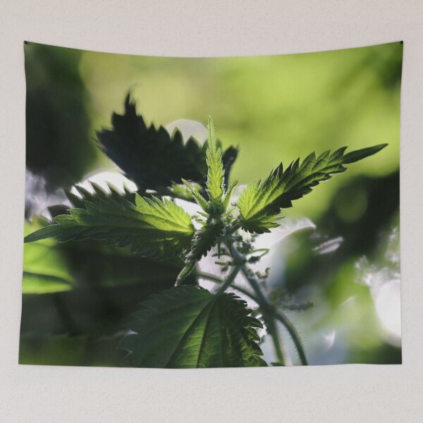 Item preview, Nettle designed and sold by cuprum.