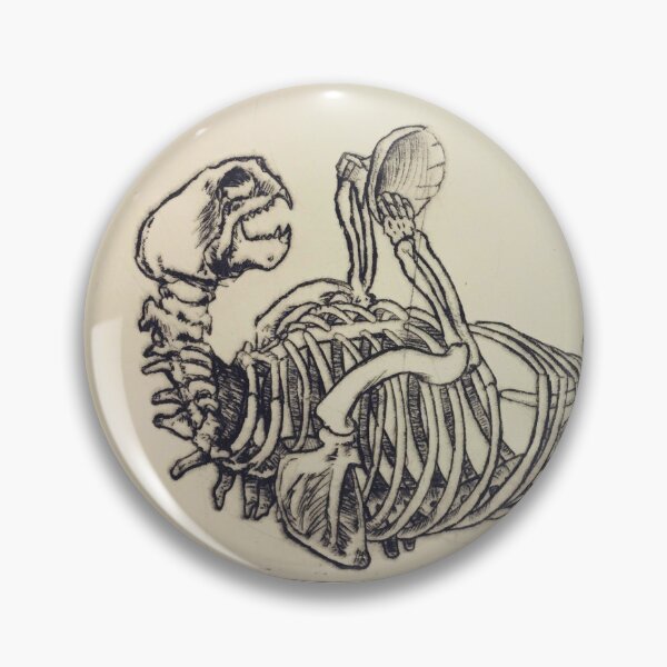 Item preview, Sea otter skeleton designed and sold by RiverHoltArt.