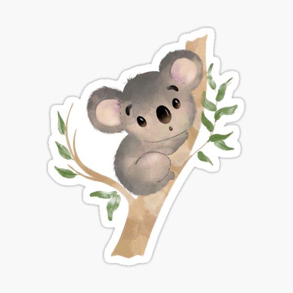 Adorable Baby Koala Stickers Redbubble