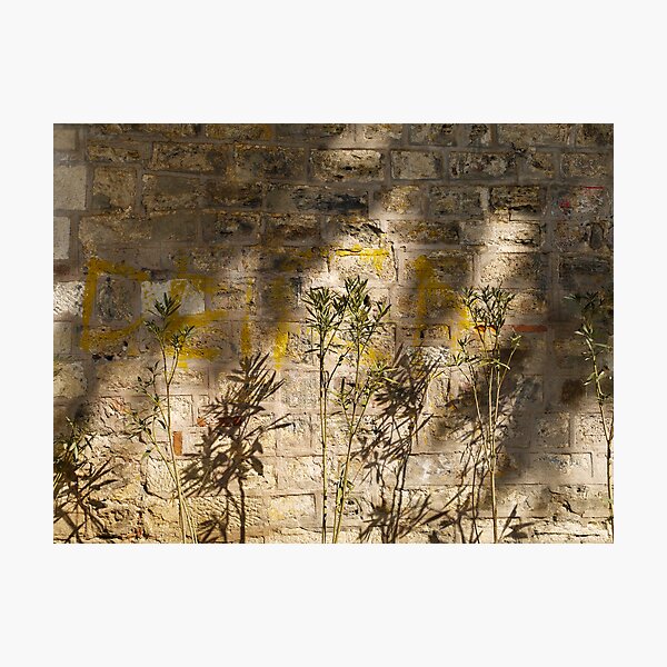 Graffiti and shadows on the wall of Alay Köskü (Parade Pavilion) Photographic Print