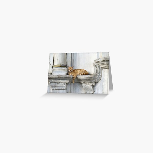 Relaxing on marble (Eyüp) Greeting Card