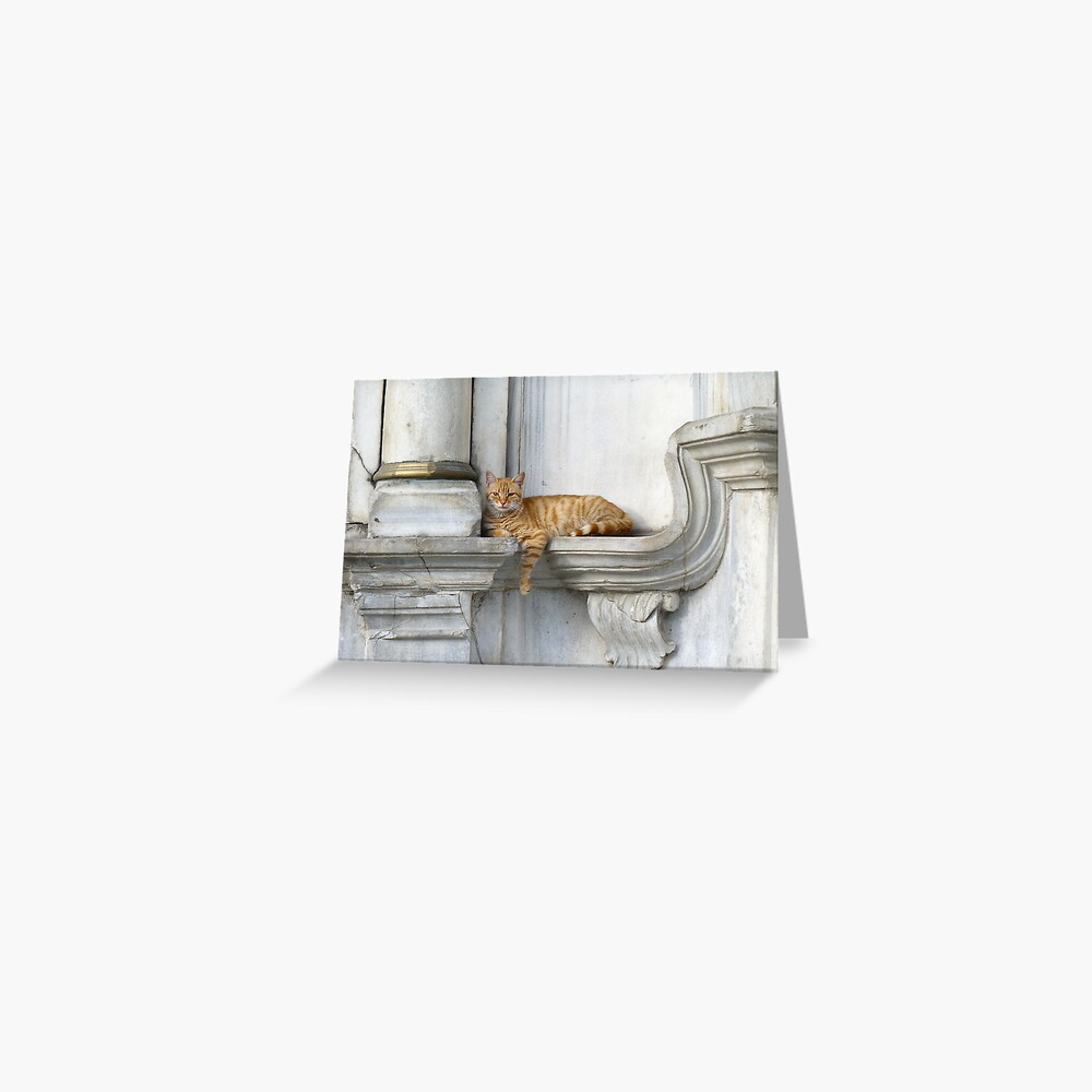 Relaxing on marble (Eyüp) Greeting Card