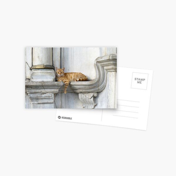 Relaxing on marble (Eyüp) Postcard