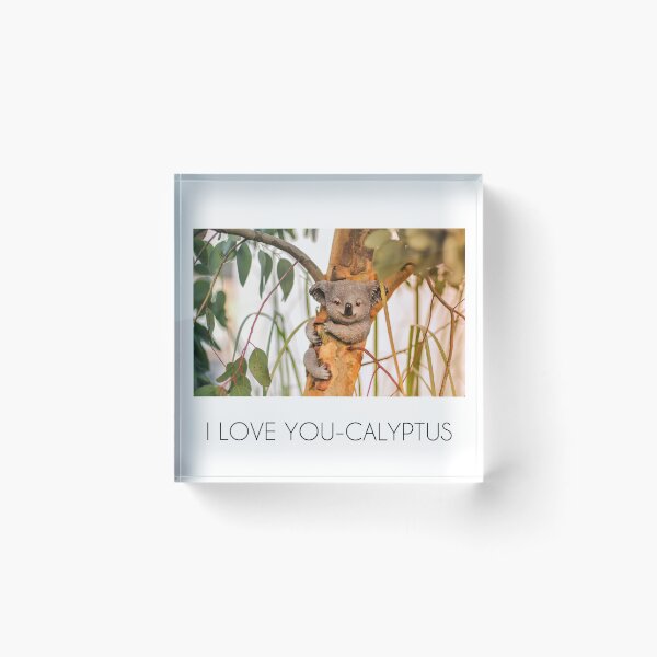 Item preview, Original "I love you-calyptus" for eucalyptus and koala bear lovers designed and sold by sanastyle.