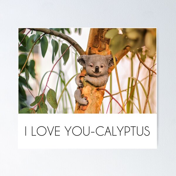 Item preview, Original "I love you-calyptus" for eucalyptus and koala bear lovers designed and sold by sanastyle.