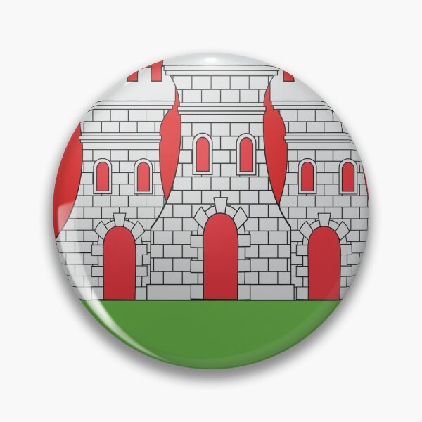 Item preview, French France Coat of Arms 12309 Blason ville fr Domfront Orne designed and sold by wetdryvac.