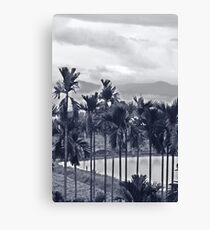 mirror in mirror Canvas Print