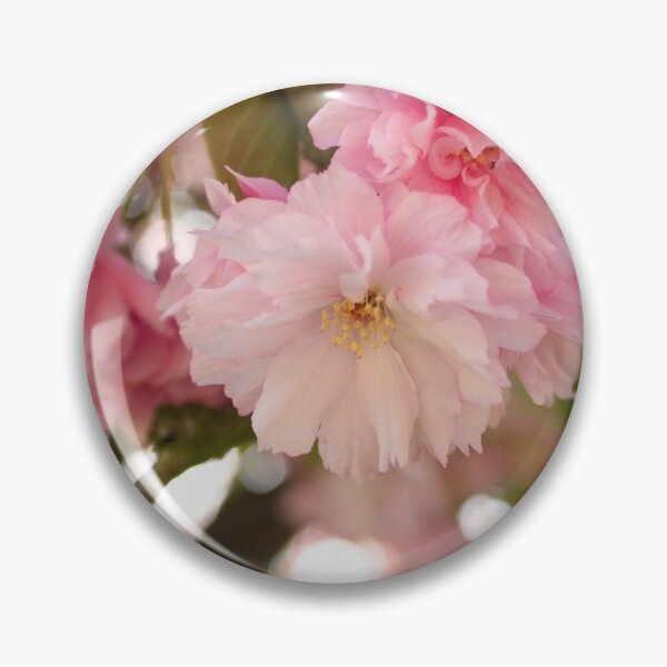 Item preview, Photographie de délicates fleurs de cerisier designed and sold by LaPetiteBelette.