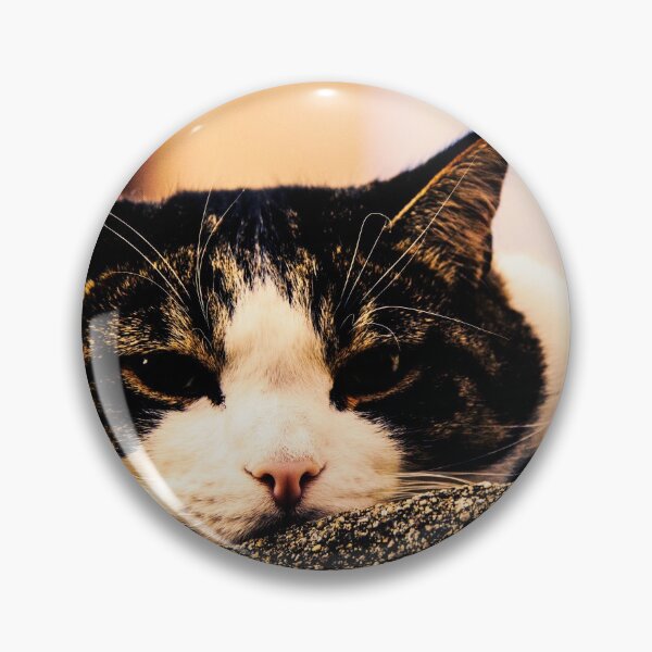 Item preview, Photographie Dans un regard de chat designed and sold by LaPetiteBelette.