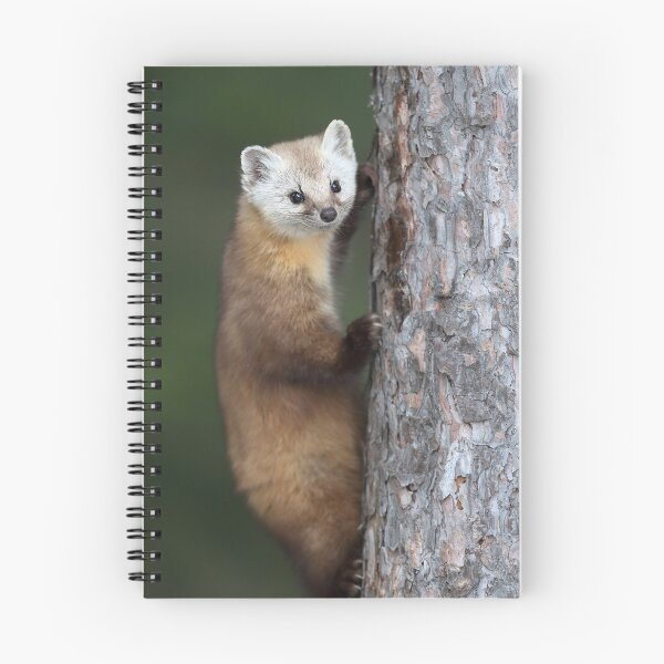 Item preview, Marten designed and sold by mlorenz.