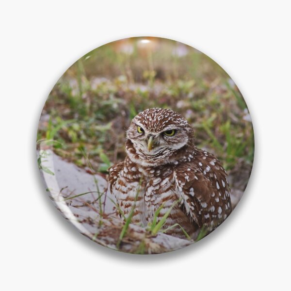 Item preview, Burrowing Owl designed and sold by Michiale.