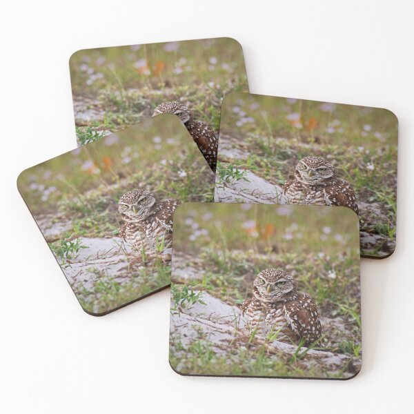 Item preview, Burrowing Owl designed and sold by Michiale.