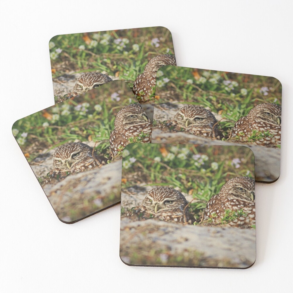 Item preview, Coasters (Set of 4) designed and sold by Michiale.