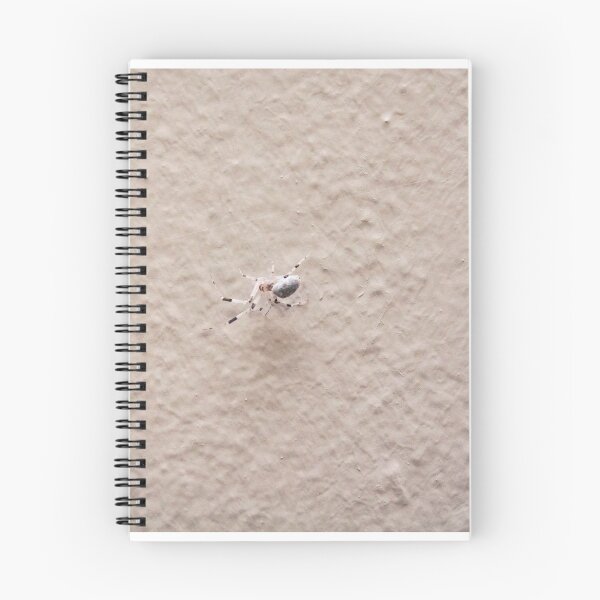 Item preview, Concrete Spider designed and sold by Cropfactorgroup.