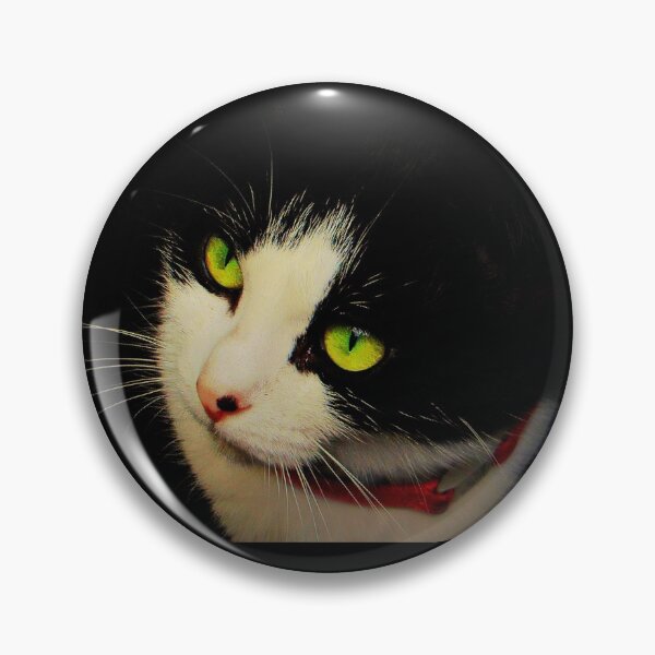 Item preview, Once Kitten, Twice Shy designed and sold by Vince Scaglione.