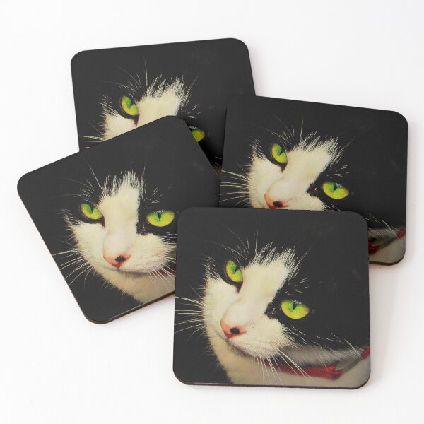Item preview, Once Kitten, Twice Shy designed and sold by Vince Scaglione.