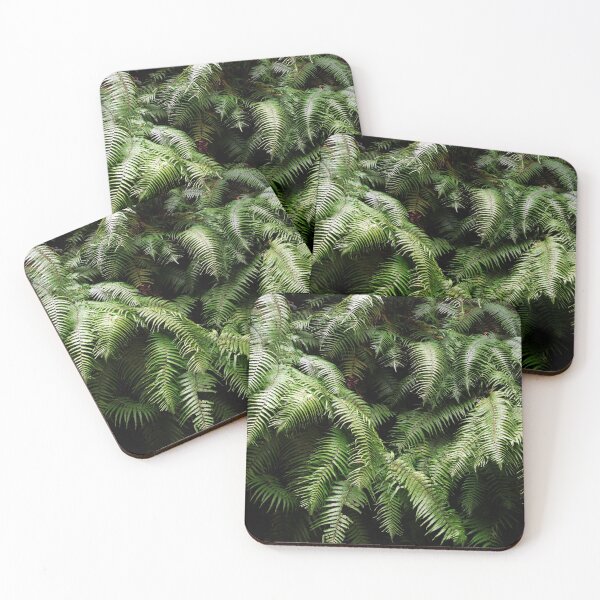 Item preview, Ferns designed and sold by nahuaphoto.