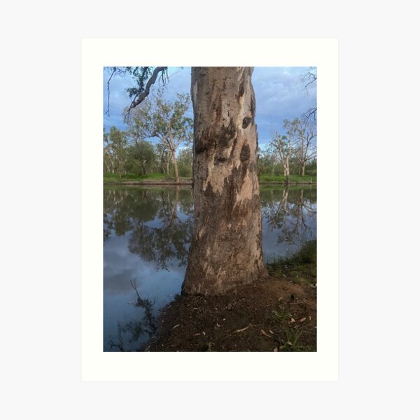 Judes lagoon Art Print