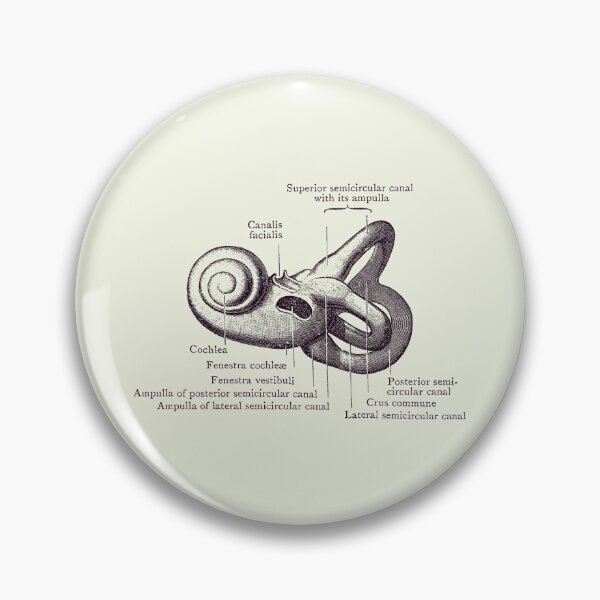 Item preview, Inner Ear Anatomy Diagram - Vintage Poster 2 designed and sold by VAposters.