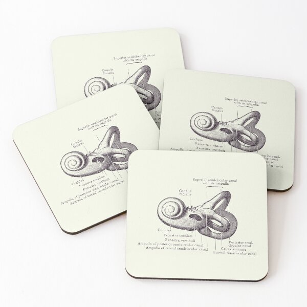 Item preview, Inner Ear Anatomy Diagram - Vintage Poster 2 designed and sold by VAposters.