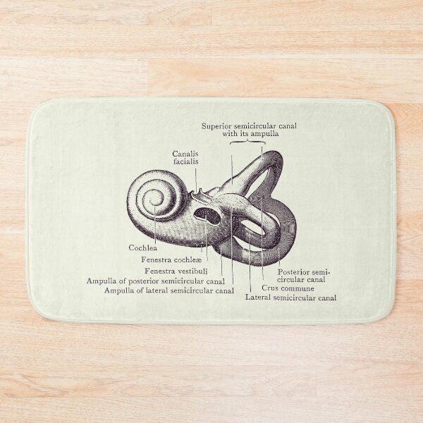 Item preview, Inner Ear Anatomy Diagram - Vintage Poster 2 designed and sold by VAposters.