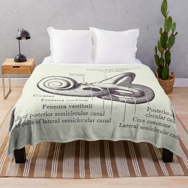 Item preview, Inner Ear Anatomy Diagram - Vintage Poster 2 designed and sold by VAposters.