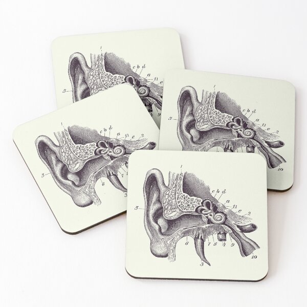 Item preview, Human Inner Ear Anatomy Diagram - Vintage Print 2 designed and sold by VAposters.