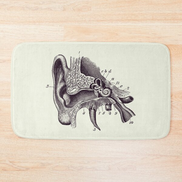 Item preview, Human Inner Ear Anatomy Diagram - Vintage Print 2 designed and sold by VAposters.