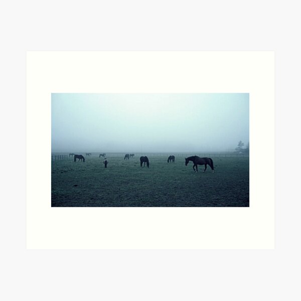 Horses in fog Art Print