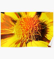 macro daisy Poster
